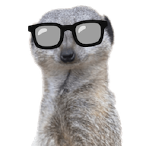 /img/meerkat_person.png