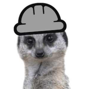 /img/meerkat_project.png