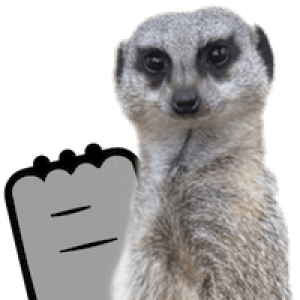 /img/meerkat_topic.png